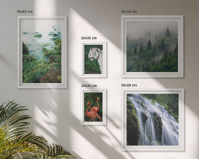 Conjunto de 5 quadros com moldura Natureza animais selvagens paisagens
