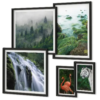 Conjunto de 5 quadros com moldura com estampas de natureza e animais selvagens
