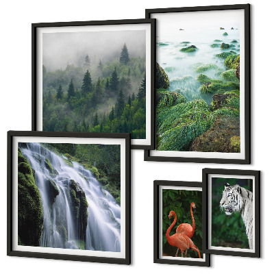 Conjunto de 5 quadros com moldura Natureza animais selvagens paisagens