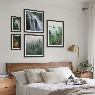 Conjunto de 5 quadros com moldura Natureza animais selvagens paisagens