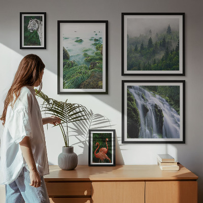 Conjunto de 5 quadros com moldura Natureza animais selvagens paisagens