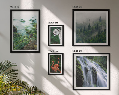 Conjunto de 5 quadros com moldura Natureza animais selvagens paisagens