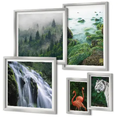Conjunto de 5 quadros com moldura com estampas de natureza e animais selvagens