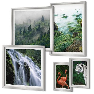 Conjunto de 5 quadros com moldura Natureza animais selvagens paisagens