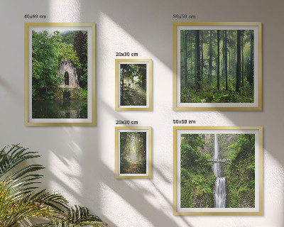 Galeria de parede florestas verdes cachoeiras natureza