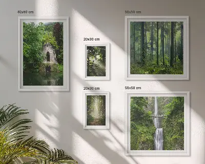 Galeria de parede com tema de florestas verdes e cachoeiras