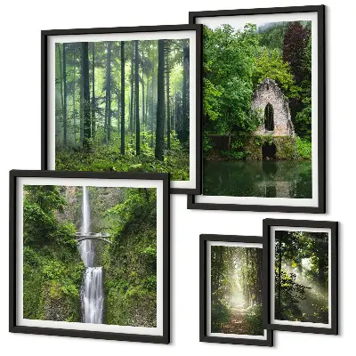 Galeria de parede com tema de florestas verdes e cachoeiras