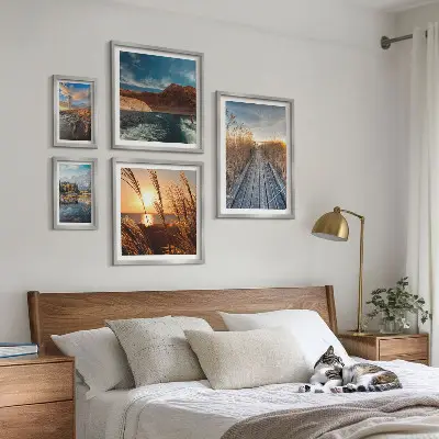 Galeria de quadros para parede com trilha de vegetação aquática e paisagens