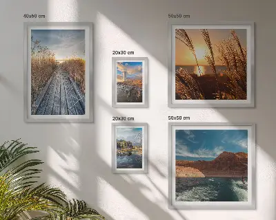 Galeria de quadros para parede com trilha de vegetação aquática e paisagens