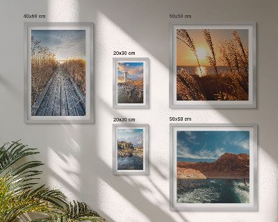 Parede galeria de quadros Trilha de vegetação aquática com paisagens