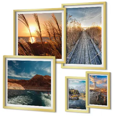 Galeria de quadros para parede com trilha de vegetação aquática e paisagens