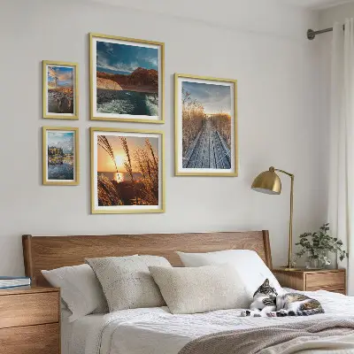 Galeria de quadros para parede com trilha de vegetação aquática e paisagens