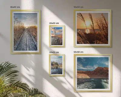 Galeria de quadros para parede com trilha de vegetação aquática e paisagens