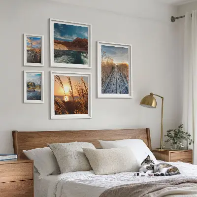 Galeria de quadros para parede com trilha de vegetação aquática e paisagens