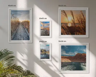 Galeria de quadros para parede com trilha de vegetação aquática e paisagens