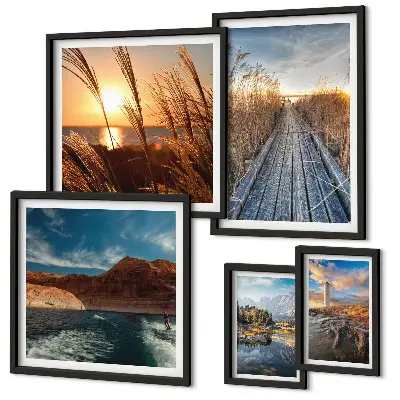 Galeria de quadros para parede com trilha de vegetação aquática e paisagens