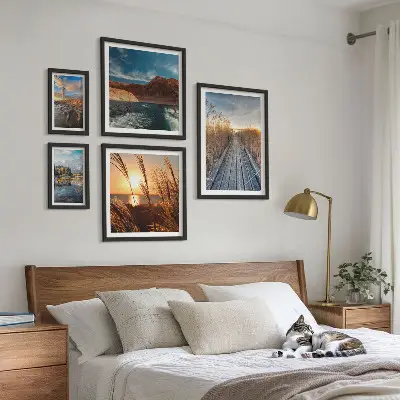 Galeria de quadros para parede com trilha de vegetação aquática e paisagens