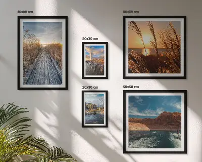 Galeria de quadros para parede com trilha de vegetação aquática e paisagens