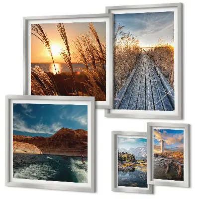 Galeria de quadros para parede com trilha de vegetação aquática e paisagens