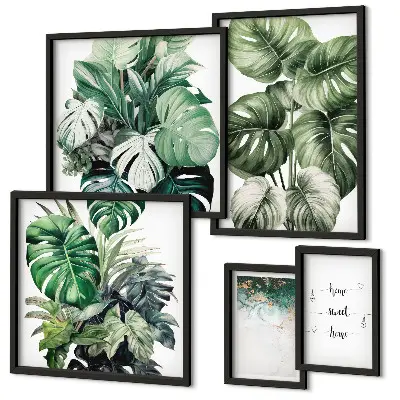 Galeria de quadros para parede com inspirações modernas de plantas
