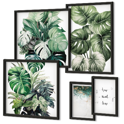 Parede galeria de quadros Inspirações modernas de plantas