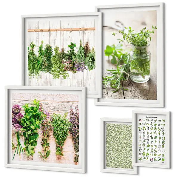 Galeria de quadros para parede com inspirações de decoração com ervas