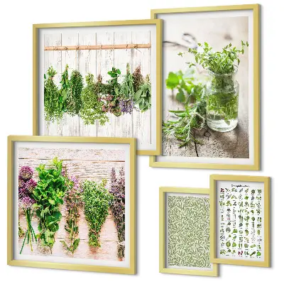 Galeria de quadros para parede com inspirações de decoração com ervas