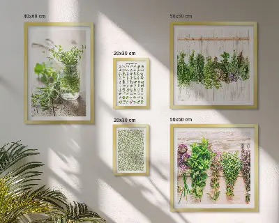 Galeria de quadros para parede com inspirações de decoração com ervas