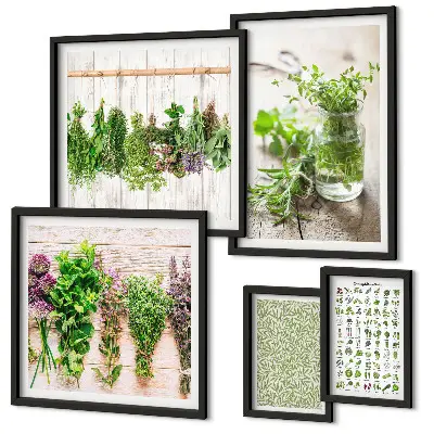 Galeria de quadros para parede com inspirações de decoração com ervas