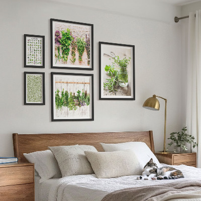 Parede galeria de quadros Inspirações de decoração com ervas