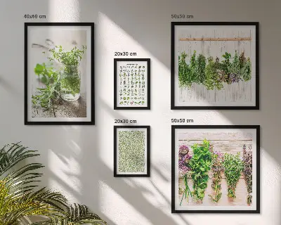 Galeria de quadros para parede com inspirações de decoração com ervas