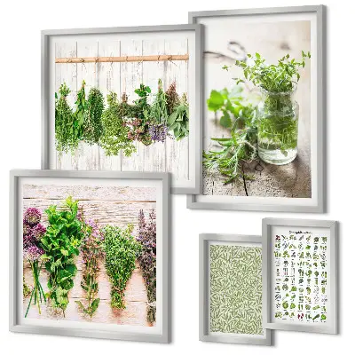 Galeria de quadros para parede com inspirações de decoração com ervas