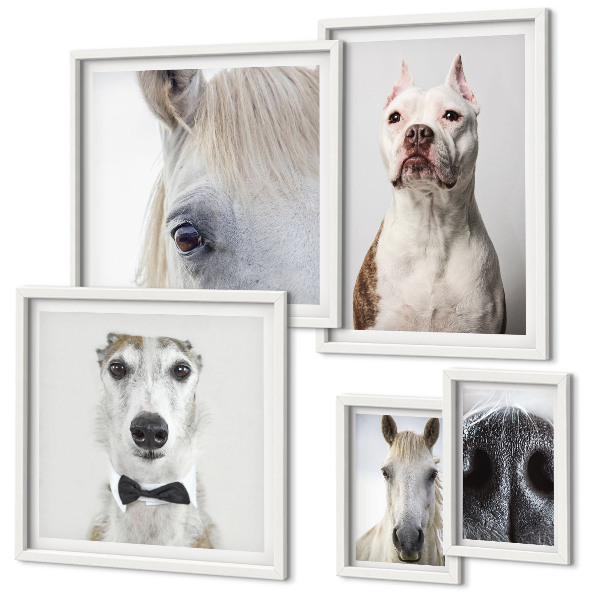 Parede galeria de quadros Retratos modernos de animais