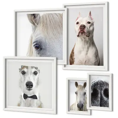 Parede galeria de quadros com retratos modernos de animais