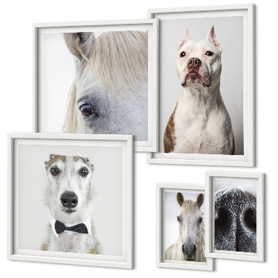 Parede galeria de quadros Retratos modernos de animais
