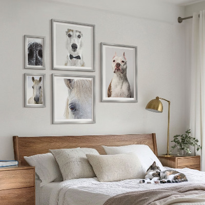 Parede galeria de quadros Retratos modernos de animais