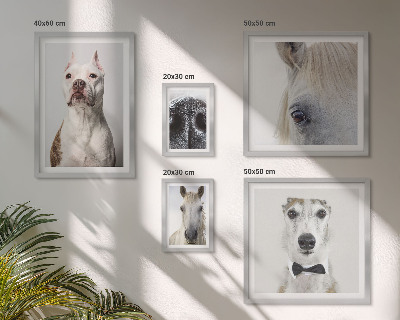 Parede galeria de quadros Retratos modernos de animais