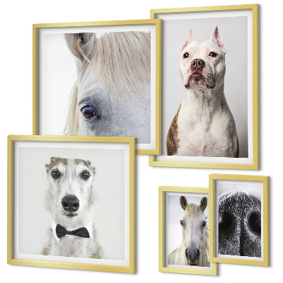Parede galeria de quadros Retratos modernos de animais