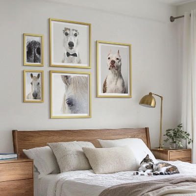 Parede galeria de quadros Retratos modernos de animais