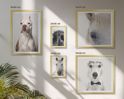 Parede galeria de quadros Retratos modernos de animais