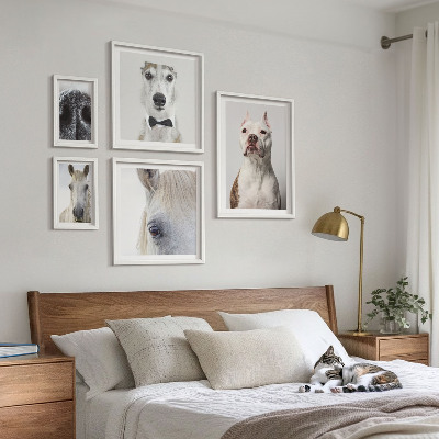Parede galeria de quadros Retratos modernos de animais