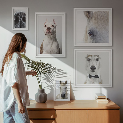 Parede galeria de quadros Retratos modernos de animais