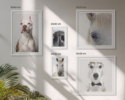 Parede galeria de quadros Retratos modernos de animais
