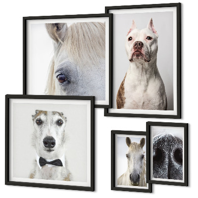 Parede galeria de quadros Retratos modernos de animais
