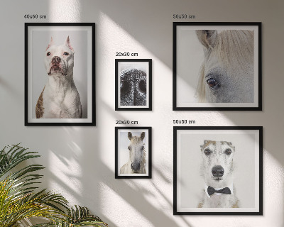 Parede galeria de quadros Retratos modernos de animais