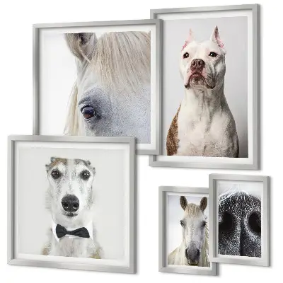 Parede galeria de quadros com retratos modernos de animais