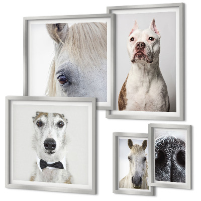 Parede galeria de quadros Retratos modernos de animais
