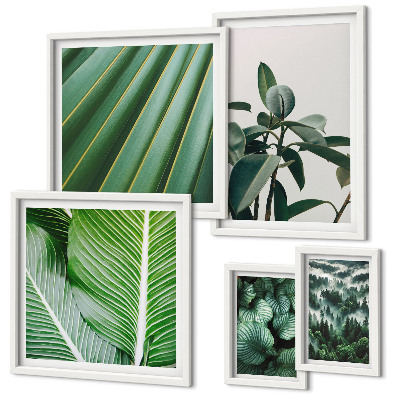 Galeria de parede Inspirações de plantas tropicais