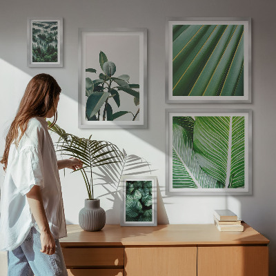 Galeria de parede Inspirações de plantas tropicais