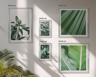 Galeria de parede Inspirações de plantas tropicais
